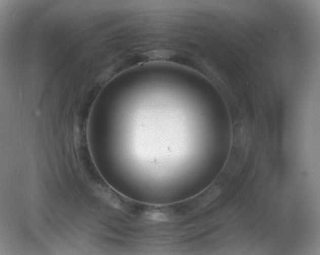 X0000082990655200702011430