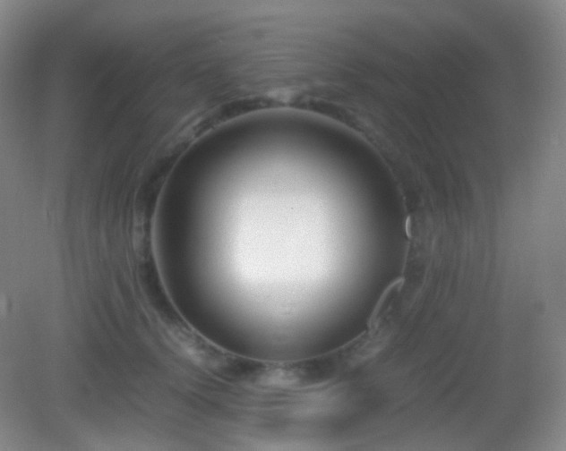 X0000082990656200702011430