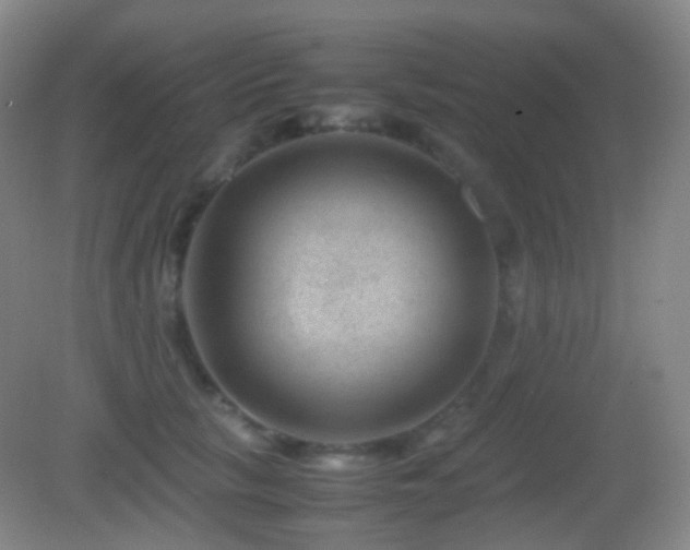 X0000082990657200702011430