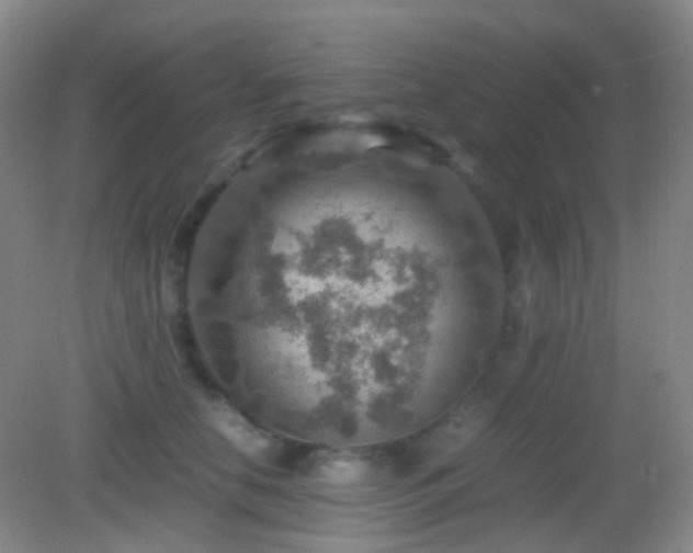 X0000082990658200702011430