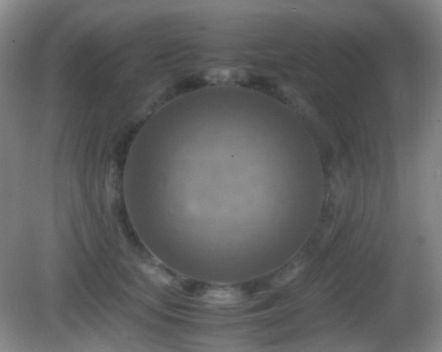 X0000082990659200702011430