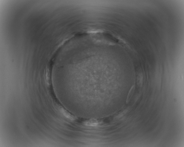 X0000082990661200702011430