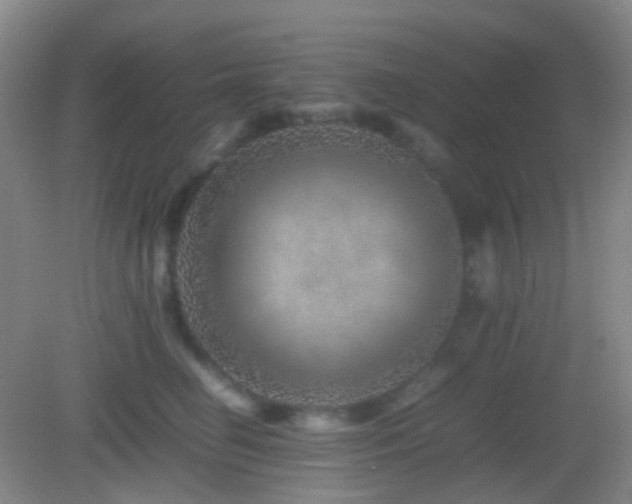 X0000082990662200702011430