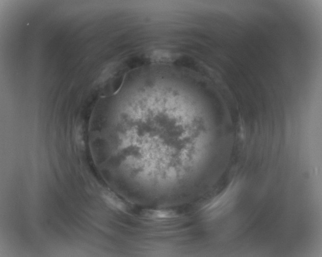 X0000082990663200702011430