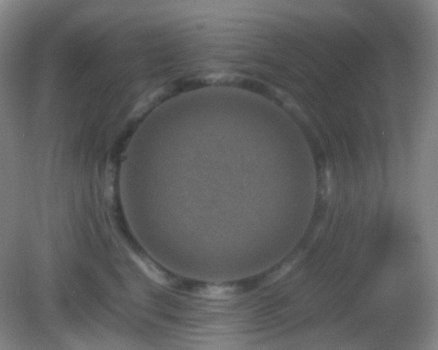 X0000082990664200702011430