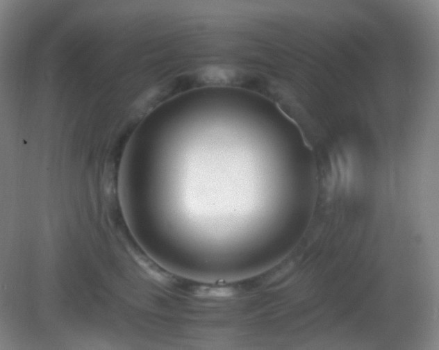 X0000082990665200702011430