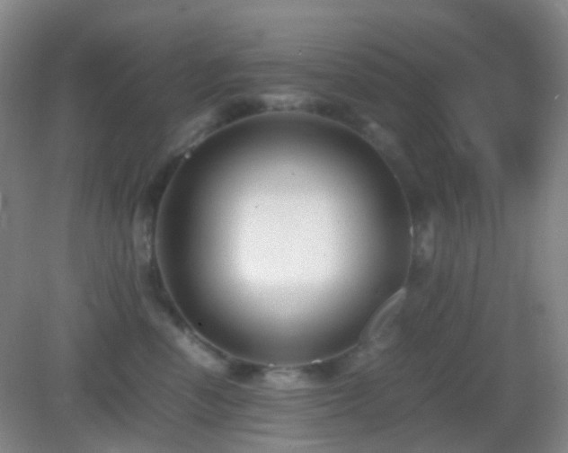 X0000082990666200702011430