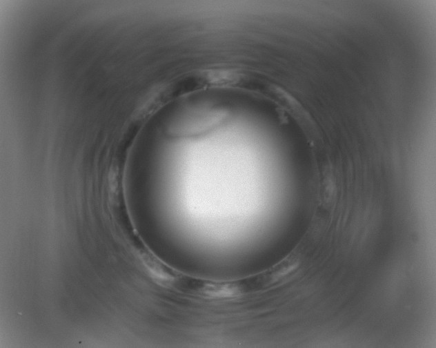 X0000082990667200702011430