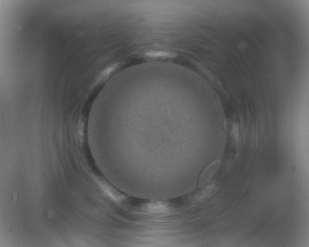 X0000082990668200702011430