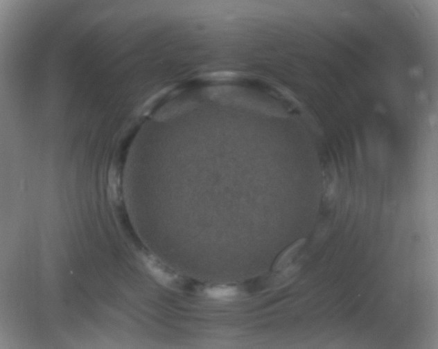 X0000082990669200702011430