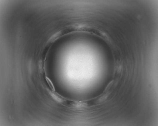 X0000082990670200702011430