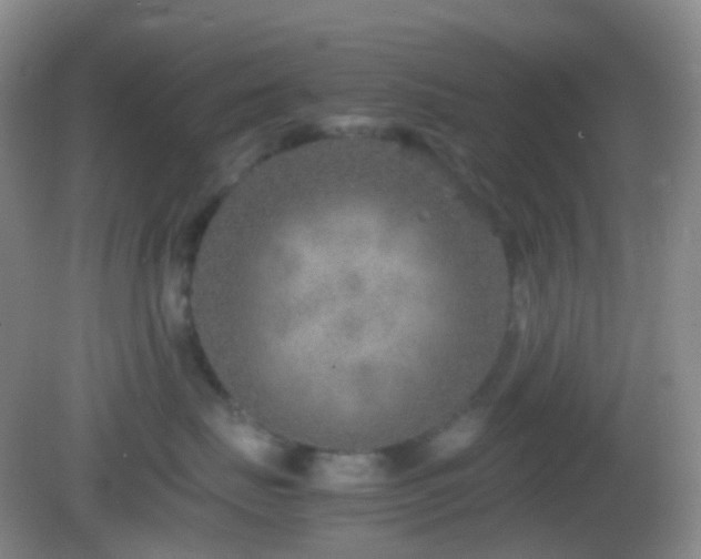 X0000082990671200702011430