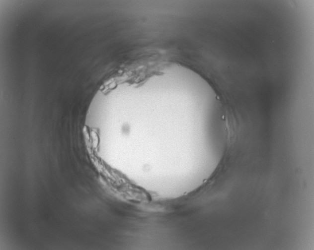 X0000082990672200702011430