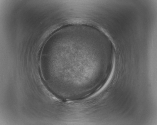 X0000082990673200702011430