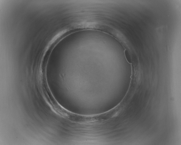 X0000082990674200702011430