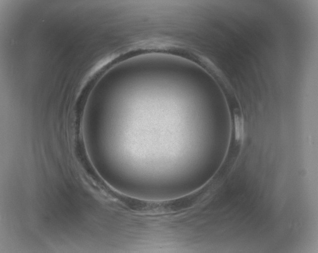 X0000082990675200702011430