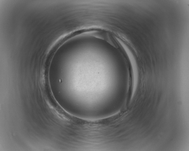 X0000082990676200702011430