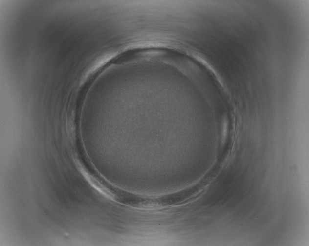 X0000082990677200702011429