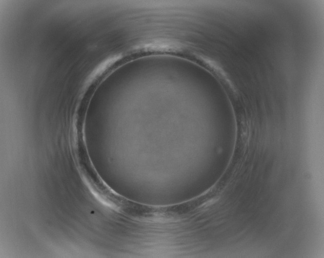 X0000082990678200702011429