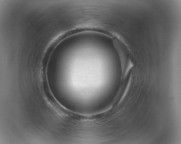 X0000082990680200702011429