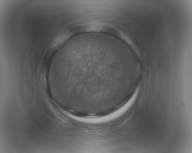 X0000082990681200702011429