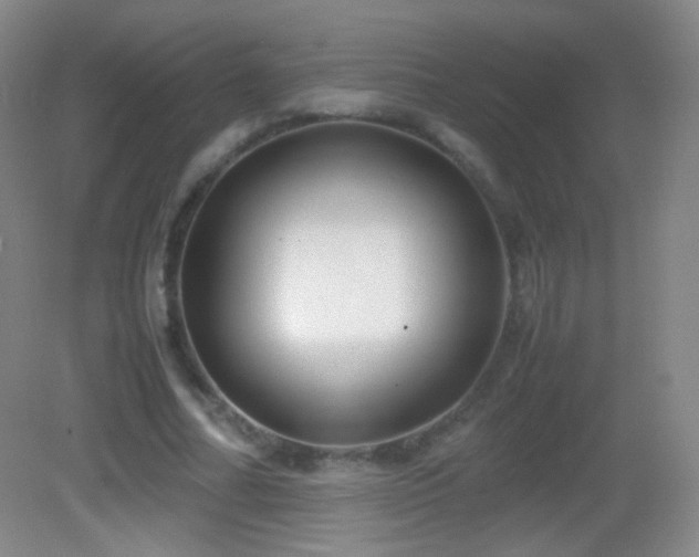 X0000082990682200702011429