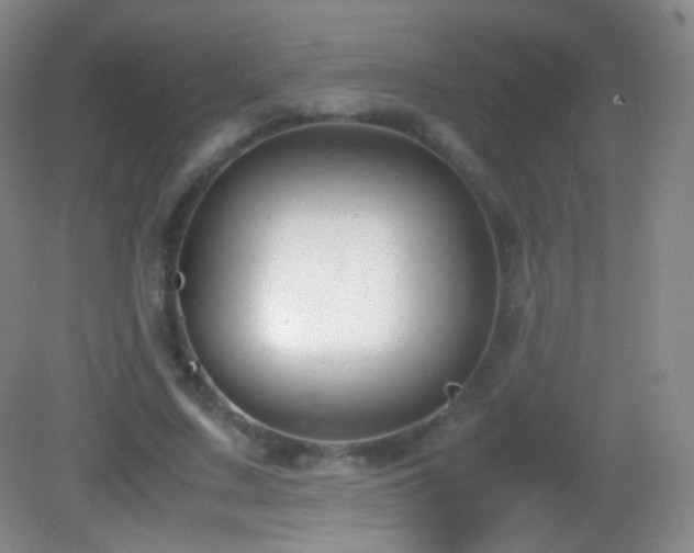 X0000082990683200702011429