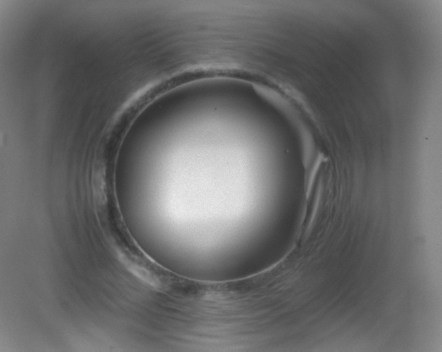 X0000082990684200702011429