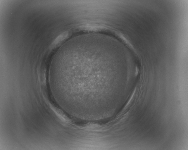 X0000082990685200702011429