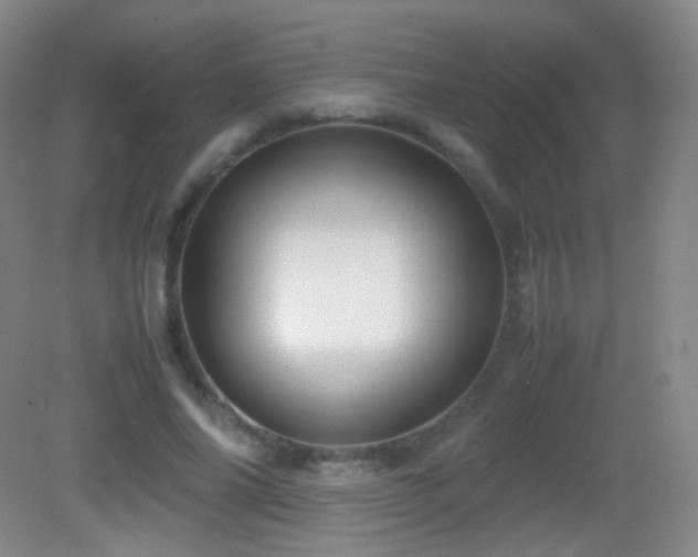 X0000082990686200702011429