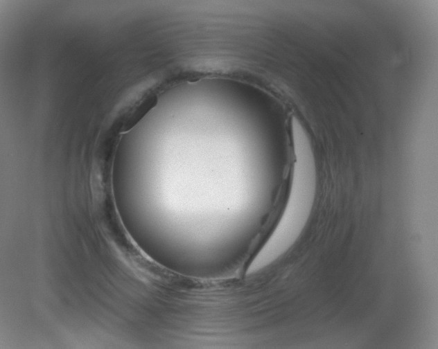 X0000082990688200702011429