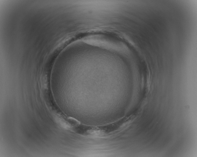 X0000082990689200702011429