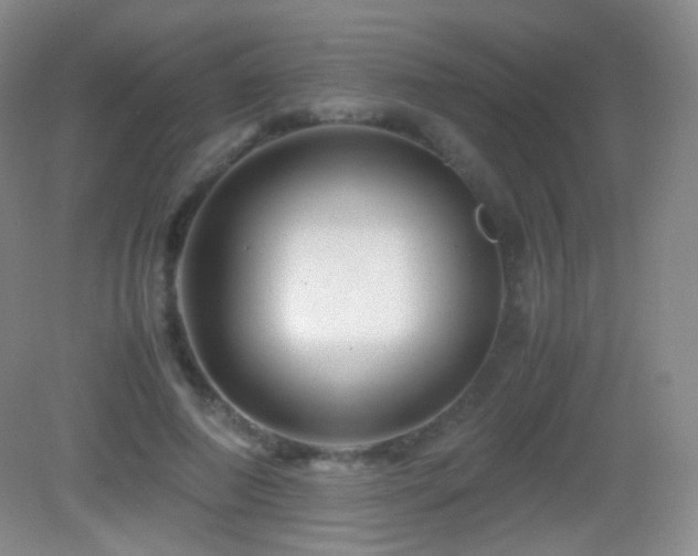 X0000082990690200702011429