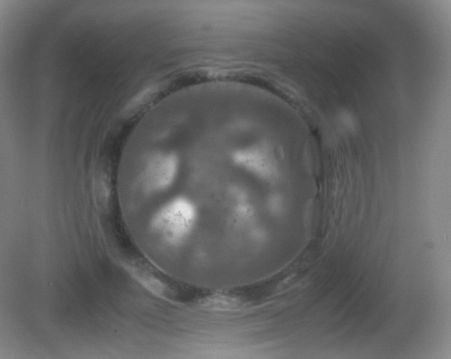 X0000082990691200702011429