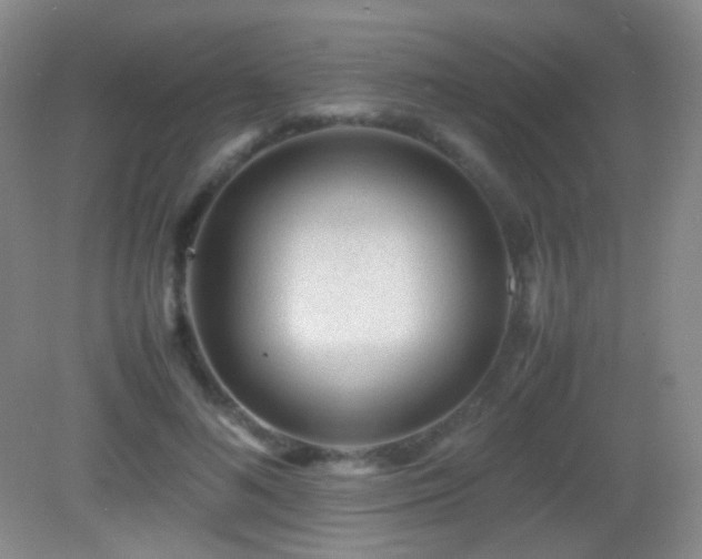 X0000082990692200702011429