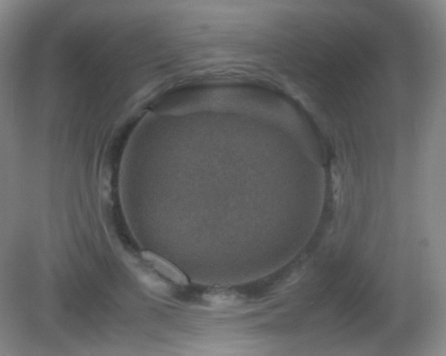 X0000082990693200702011429