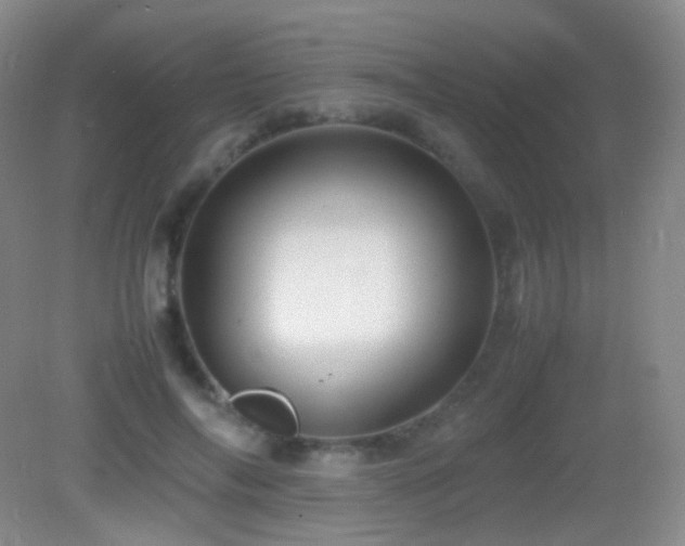 X0000082990694200702011429