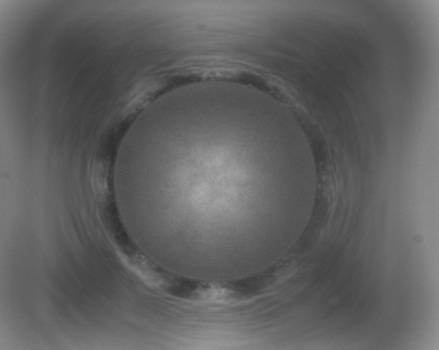 X0000082990695200702011429