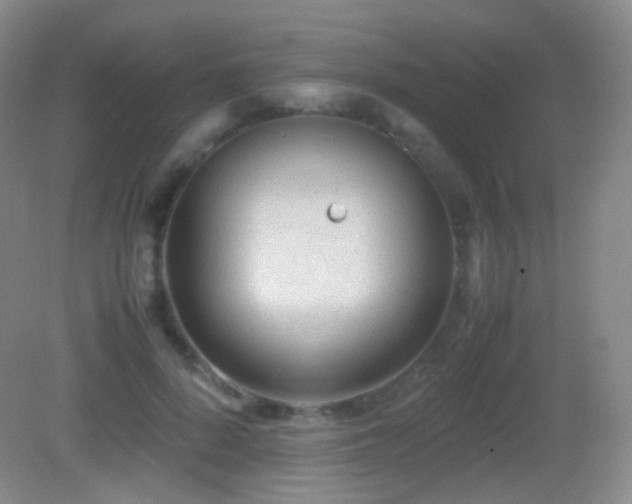 X0000082990696200702011429