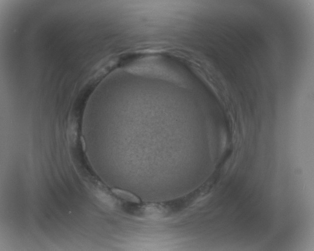 X0000082990697200702011429