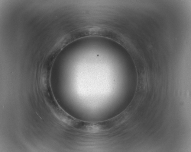 X0000082990698200702011429