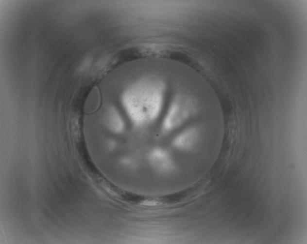 X0000082990699200702011429