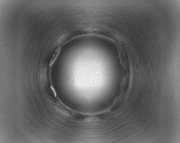 X0000082990700200702011429