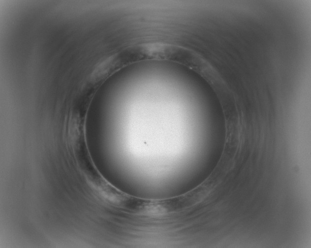 X0000082990702200702011429