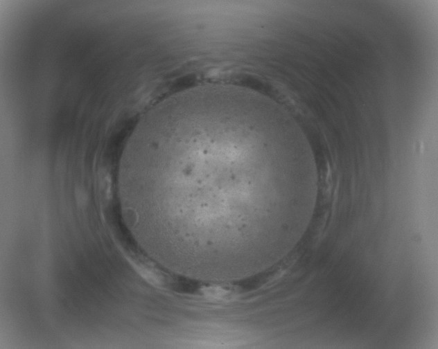 X0000082990703200702011429