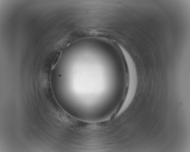 X0000082990704200702011429