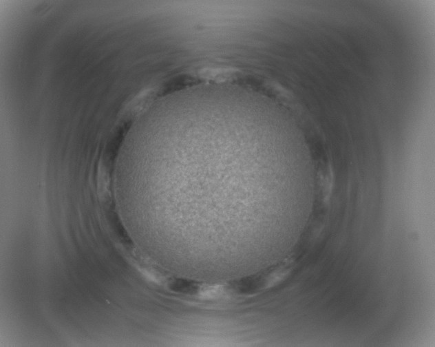 X0000082990705200702011429