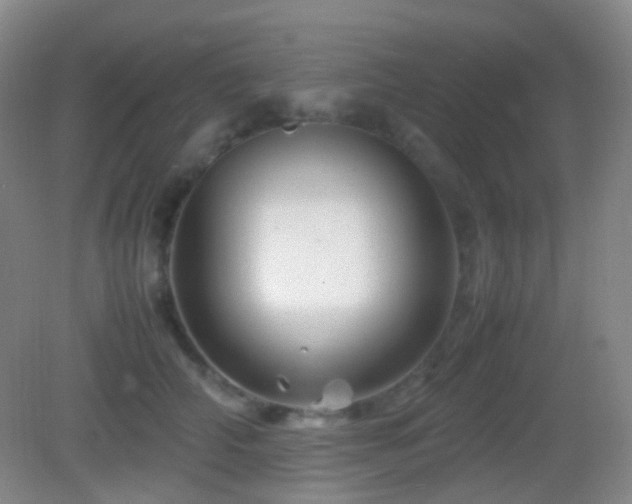 X0000082990706200702011429