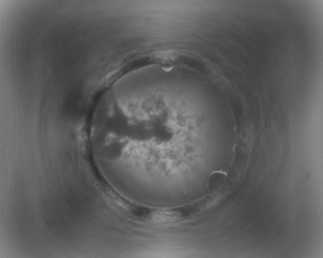 X0000082990707200702011429