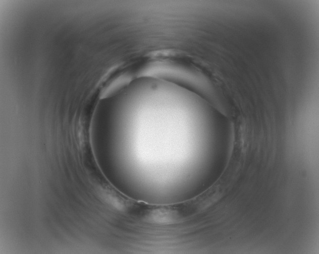 X0000082990708200702011429